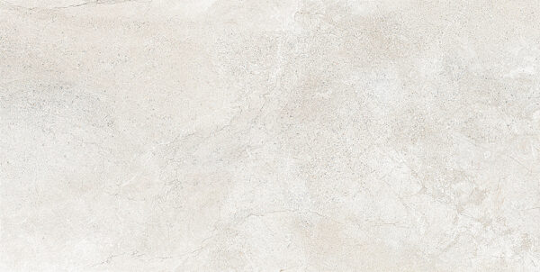 60X120-NOL-494